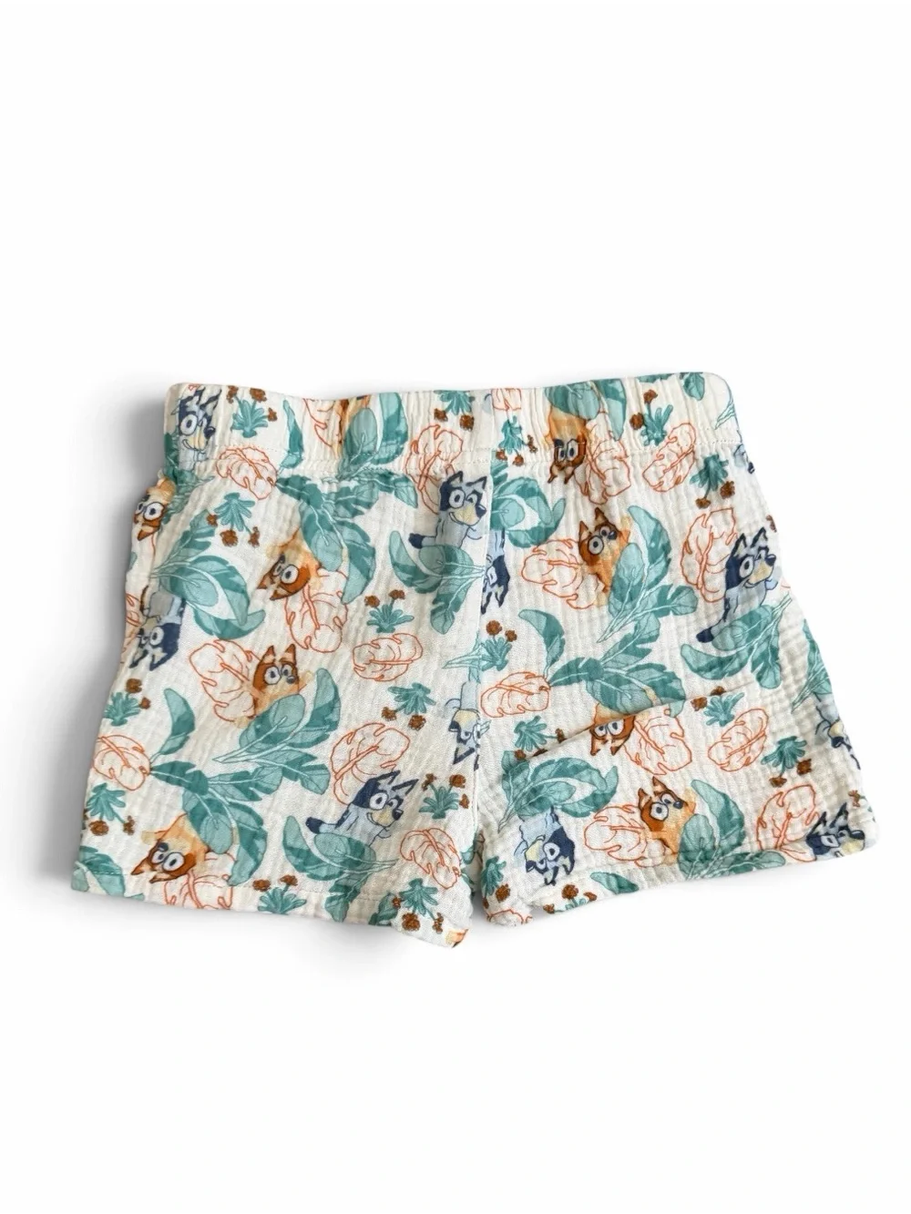 Bluey adorable matching